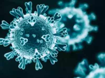 Coronavirus in pune : पुणे जिल्ह्यात दिवसभरात आढळले १०८९ नवे करोनाबाधित रुग्ण