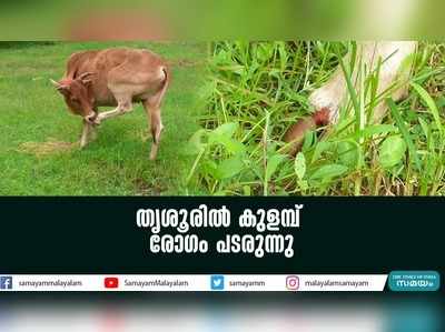 തൃശൂരിൽ കുളമ്പ് രോ​ഗം പടരുന്നു