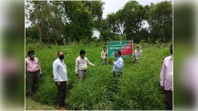 Hamirpur News: सिर्फ इंसान ही नहीं बंदरों और पक्षियों का भी ख्याल रख रही योगी सरकार, वन विभाग ने बनाया खास प्लान