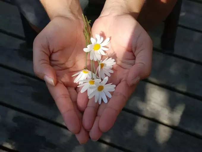 ​ಜಗಳವನ್ನು ಸರಿಪಡಿಸಿಕೊಳ್ಳಿ