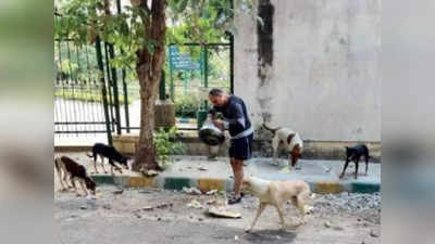 Stray Dogs: बेंगलुरु के इस टेकी की क्यों रही है देश भर में चर्चा