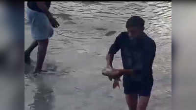 हरिद्वार में दिखी मानवता, लोगों ने तड़पती मछलियों की बचाई जान
