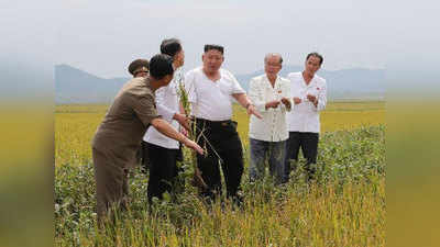 उत्तर कोरियात खाद्यान्न संकट; दोन महिन्याचा अन्नधान्य साठा, महागाईचा आगडोंब