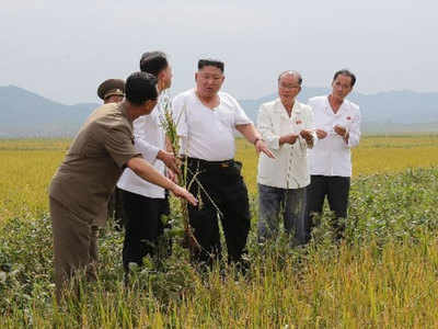 उत्तर कोरियात खाद्यान्न संकट; दोन महिन्याचा अन्नधान्य साठा, महागाईचा आगडोंब