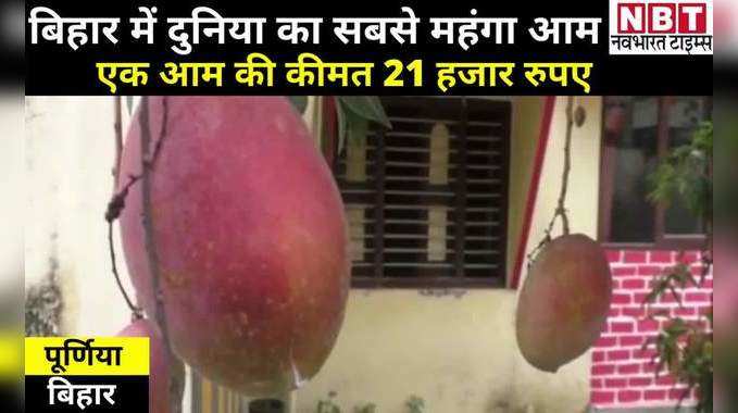Purnia News: बिहार में दुनिया का सबसे महंगा आम मियाज़ाकी, 2.7 लाख रुपये किलो है इसकी कीमत