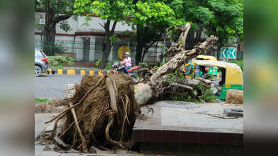 Delhi Weather News: 25 जून तक गर्मी और उमस करेगी परेशान