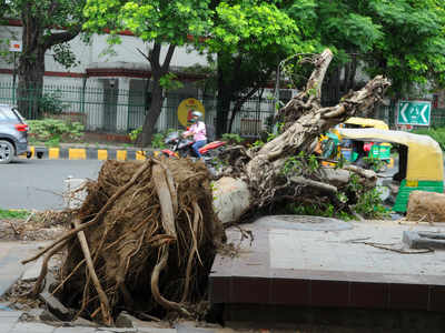 Delhi Weather News: 25 जून तक गर्मी और उमस करेगी परेशान