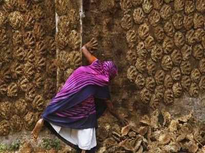 সোনাদানা নয়, শেষে কিনা গোবর নিয়ে গেল চোরেরা!