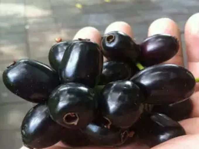 ​जामुन के पोषक तत्व (Jamun nutrition)