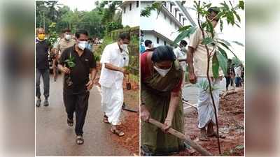 അശോക വൃക്ഷങ്ങള്‍ തണല്‍ വിരിക്കും; വിദ്യാനഗറില്‍ മാതൃകാ വീഥിയൊരുങ്ങുന്നു, വീഡിയോ കാണാം