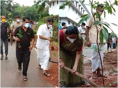 അശോക വൃക്ഷങ്ങള്‍ തണല്‍ വിരിക്കും; വിദ്യാനഗറില്‍ മാതൃകാ വീഥിയൊരുങ്ങുന്നു, വീഡിയോ കാണാം