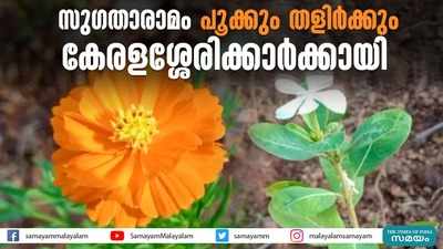 സുഗതാരാമം പൂക്കും തളിര്‍ക്കും; കേരളശ്ശേരിക്കാര്‍ക്കായി