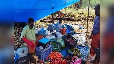 പാതയോരത്തെ തണല്‍ മരങ്ങള്‍ക്ക് കോടാലി വീണു; ഇനി ചെറുവത്തൂരിലെ ആഴ്ച ചന്തകള്‍ ഓര്‍മകളില്‍ മാത്രം, വീഡിയോ