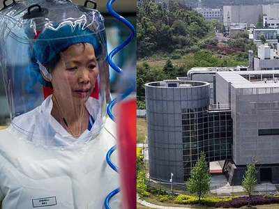 कोरोना के जन्‍म को लेकर घिरी वुहान लैब, चीन देगा शीर्ष वैज्ञानिक पुरस्‍कार, बैट वूमेन की तारीफ