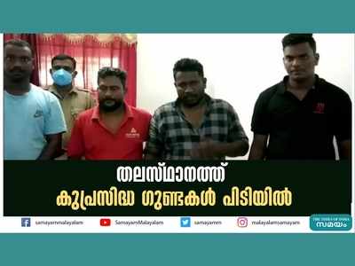 തലസ്ഥാനത്തെ കുപ്രസിദ്ധ ഗുണ്ടകളായ പാറ രതീഷും സ്റ്റമ്പര്‍ അനീഷും പിടിയില്‍