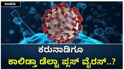 ಕರುನಾಡಿಗೂ ಕಾಲಿಡ್ತಾ ಡೆಲ್ಟಾ ಪ್ಲಸ್‌ ವೈರಸ್‌: ಬೆಂಗಳೂರು, ಮೈಸೂರಲ್ಲಿ