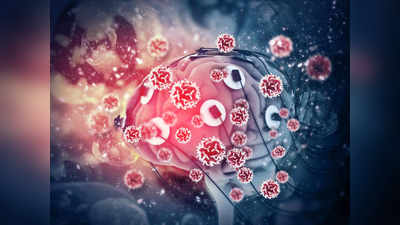 COVID-19 Brain Impact: नई स्टडी में दावा, कोविड से सिकुड़ रहे दिमाग के हिस्से, गंध-स्वाद, याद्दाश्त पर असर