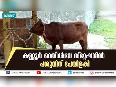 കണ്ണൂര്‍ റെയില്‍വേ സ്റ്റേഷനില്‍ പശുവിന് പേയിളകി