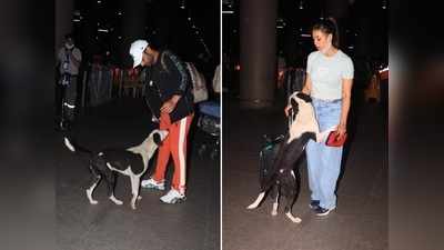 KKK11: मुंबई लौटे राहुल वैद्य, श्वेता, अर्जुन, विशाल और वरुण, एयरपोर्ट पर कुत्ते ने किया स्वागत!