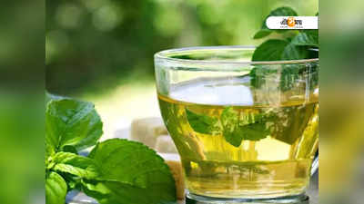 Side Effects Of Tea: রোগ প্রতিরোধ ক্ষমতা বাড়াতে ভেষজ চা খান? উপকারের থেকে বেশি বিপদ ডেকে আনছেন!