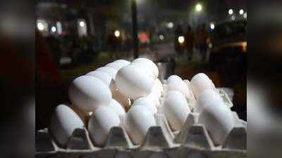 UP News: अंडा उत्पादन का हब बनेगा सहारनपुर, करोड़ों की लागत से लगेंगी 8 बड़ी नई यूनिट्स