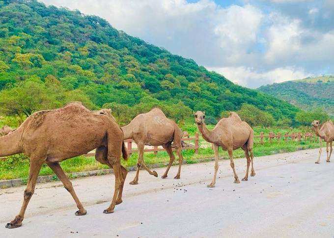 ​സൂര്യോദയം കഴിഞ്ഞ് മണിക്കൂറുകളോളം കഴിഞ്ഞ് വെളിച്ചം വീഴൂ