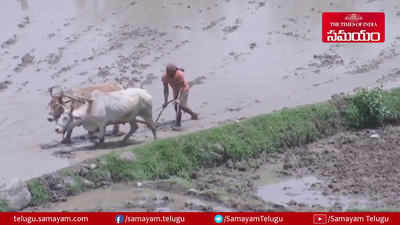 సాగు సాగితే అన్నదాత ఆనందమే వేరు.. 