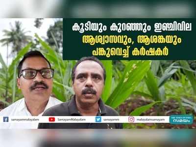 കൂടിയും കുറഞ്ഞും ഇഞ്ചിവില; ആശ്വാസവും, ആശങ്കയും പങ്കുവെച്ച് കര്‍ഷകര്‍