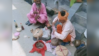 Noida News: सपेरों को जीवनयापन करने में आ रहीं मुश्किलें, आस्तित्व पर छाए संकट के बादल