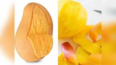 Mango peel benefits: आम का छिलका खाने के फायदों के बारे में जानकर कभी नहीं करेंगे फेंकने की गलती,  इन जानलेवा बीमारियों से करता है रक्षा