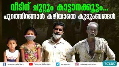 വീടിന് ചുറ്റും കാട്ടാനക്കൂട്ടം... പുറത്തിറങ്ങാന്‍ കഴിയാതെ കുടുംബങ്ങള്‍