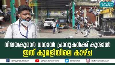 വിജയകുമാര്‍ വന്നാൽ പ്രാവുകൾക്ക് കുശാൽ; ഇത് കുമളിയിലെ കാഴ്ച