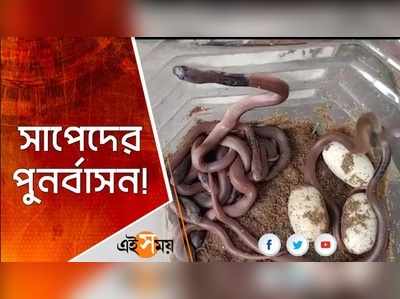 সাপেদের পুনর্বাসন!