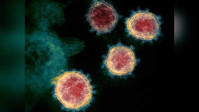 antibodies found children: मुंबईकरांना मोठा दिलासा; ५०% मुलांमध्ये आढळल्या अँटीबॉडीज