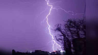Palghar Lightning Strikes धक्कादायक: मोबाइल नेटवर्कसाठी विद्यार्थी झाडावर चढले होते; वीज कोसळली आणि...