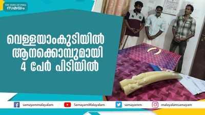 വെള്ളയാംകുടിയിൽ ആനക്കൊമ്പുമായി 4 പേർ പിടിയിൽ