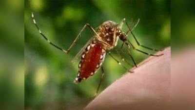 डेंगू-मलेरिया को इसी साल किया जाएगा नोटिफाई