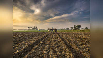 பைக்கை வைத்து நிலத்தில் உலவு செய்த இளைஞர்கள்...