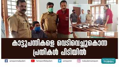 കാട്ടുപന്നികളെ വെടിവെച്ചുകൊന്ന പ്രതികള്‍ പിടിയില്‍