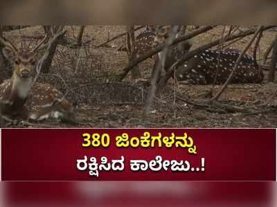 ವನ್ಯಜೀವಿ ರಕ್ಷಣೆ: ಬೇಟೆಗಾರರಿಂದ 380 ಜಿಂಕೆಗಳನ್ನು ರಕ್ಷಿಸಿದ ತಮಿಳುನಾಡು ಅರಣ್ಯ ಕಾಲೇಜು