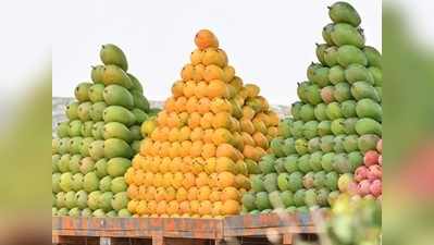 Mango Verities : आम का मजा तो आप ले रहे होंगे, लेकिन फलों के राजा की यह बात भी जानते हैं?