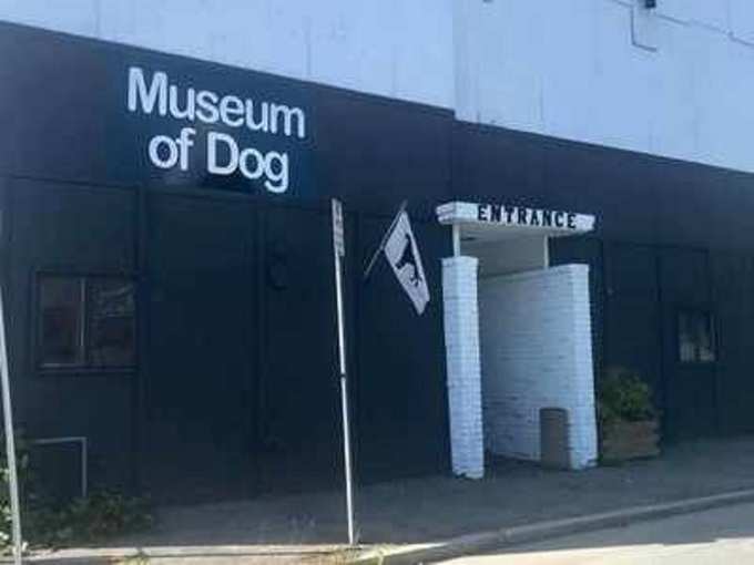डॉग नॉर्थ एडम्स का संग्रहालय, मैसाचुसेट्स - Museum of Dog North Adams, Massachusetts