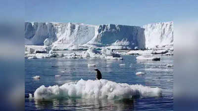 अंटार्क्टिकामध्ये उच्चांकी तापमानाची नोंद; शास्त्रज्ञ चिंतेत