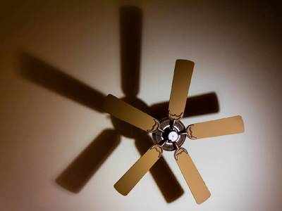 Stylish Ceiling Fans : किफायती कीमत में खरीदें तेज हवा वाले स्टाइलिश Ceiling Fan