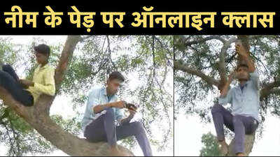 Internet Tree News: महाराष्ट्र का इंटरनेट ट्री, पेड़ पर लगी ऑनलाइन क्लास 