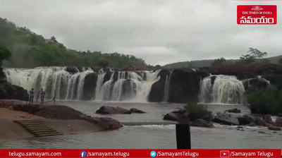 బోగత జలపాతానికి జల కళ..సందర్శకులకు అనుమతి