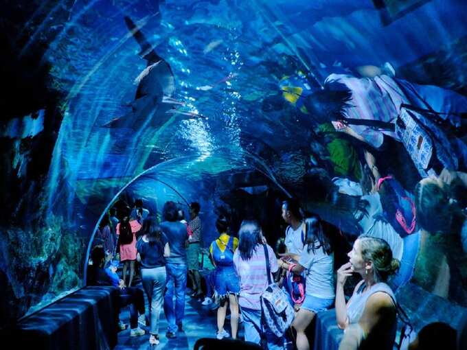 सियाम ओशियन वर्ल्ड - Sea Life Bangkok Ocean World in Hindi