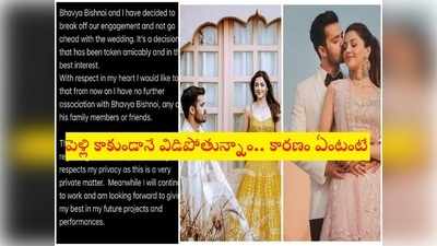 మెహరీన్ సంచలన నిర్ణయం.. మాజీ సీఎం మనవడితో బ్రేకప్.. ఇటీవలే నిశ్చితార్థం