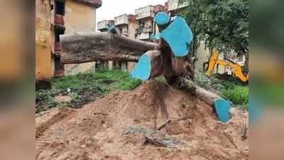 Bihar News : बिहार में सीआरपीएफ जवानों का अद्भुत काम, जड़ से उखड़े पीपल के पेड़ को दी नई जिंदगी