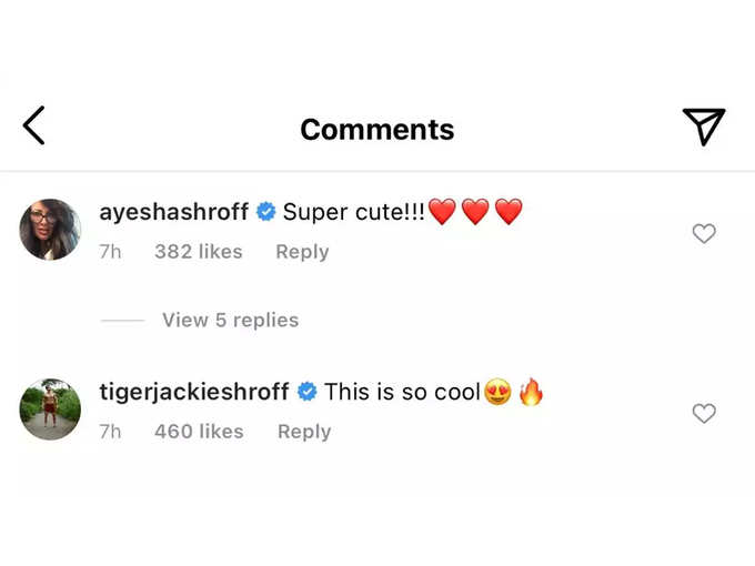Tiger Shroff Comment